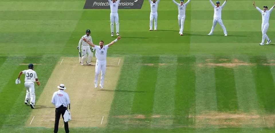 Bowler celebrating appeal with teammates during cricket match