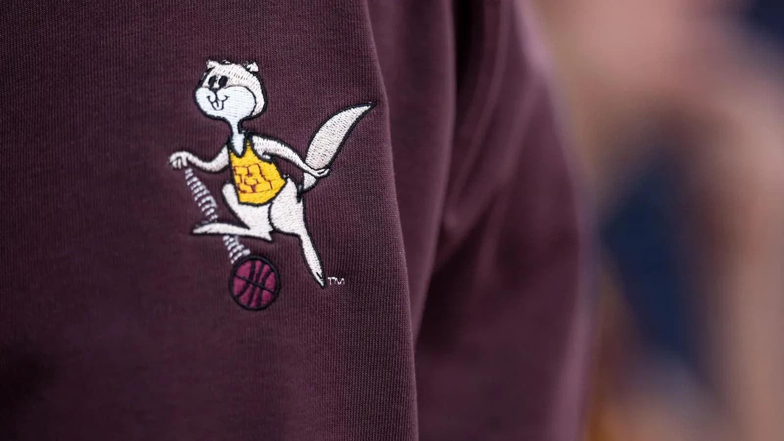 Embroidered mascot logo on a maroon sweatshirt