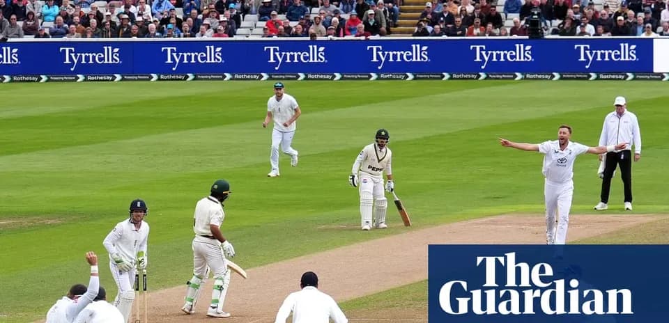 Cricket players in action during a match