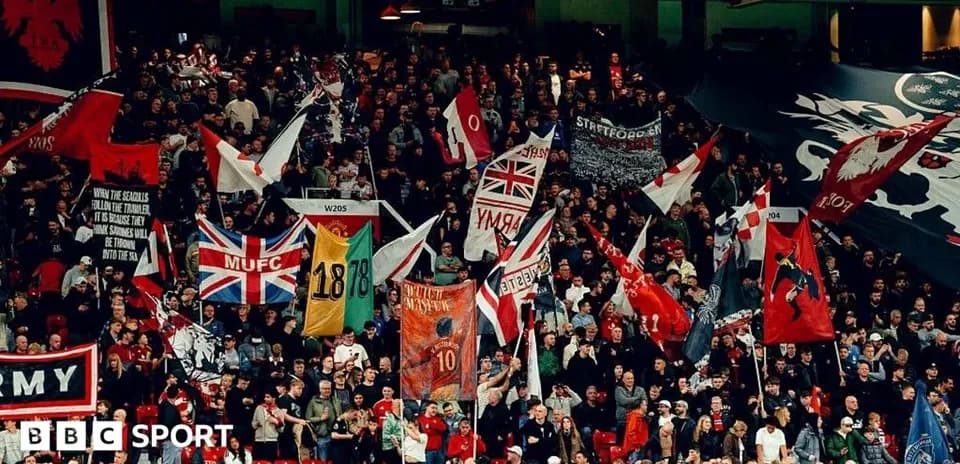 Crowd of fans with flags at a stadium