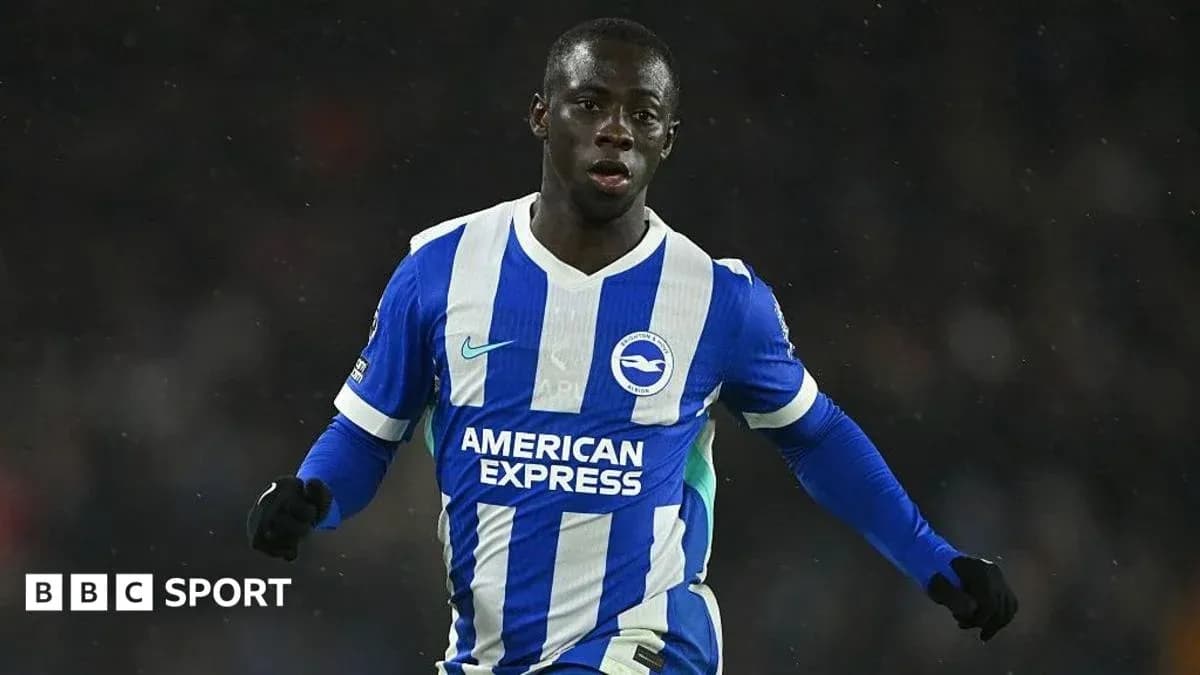 Player celebrating during a football match for Brighton Player celebrating during a football match for Brighton